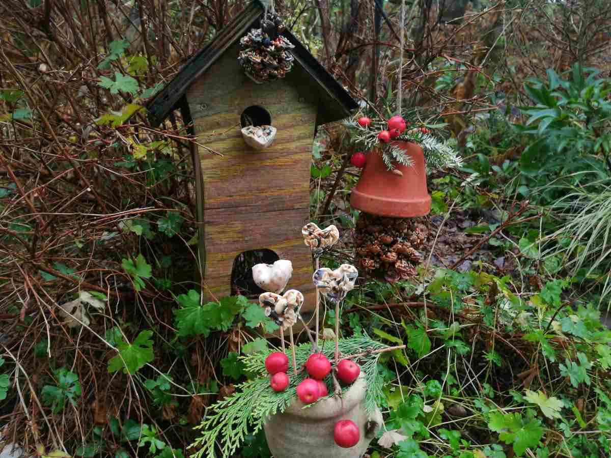 vogelfutter