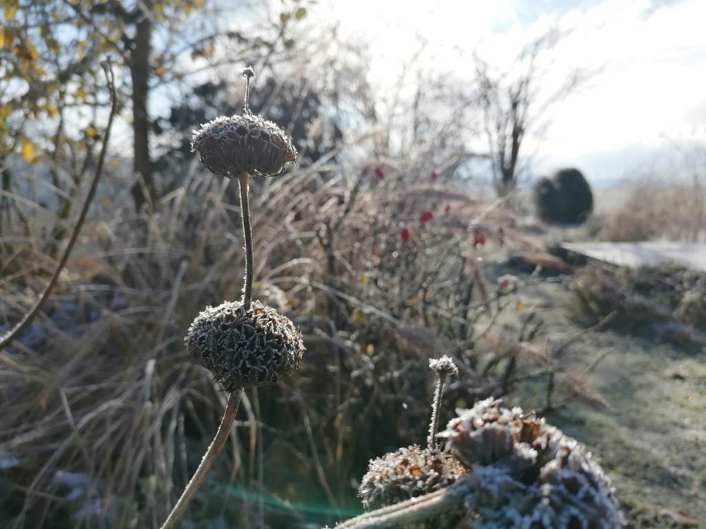 struktur