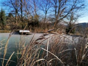 Herbstimpression Haslinger
