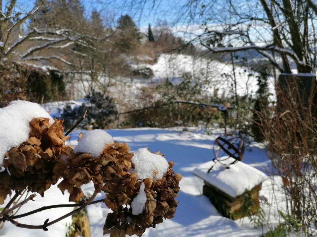 winterwonderland