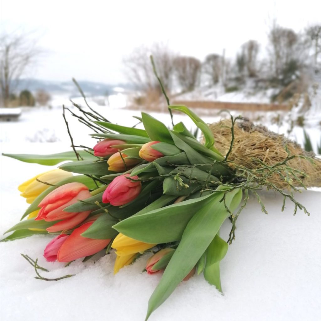 Herbstimpressionen Haslinger