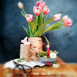 Herbstimpressionen Haslinger