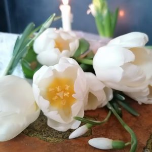 Herbstimpressionen Haslinger