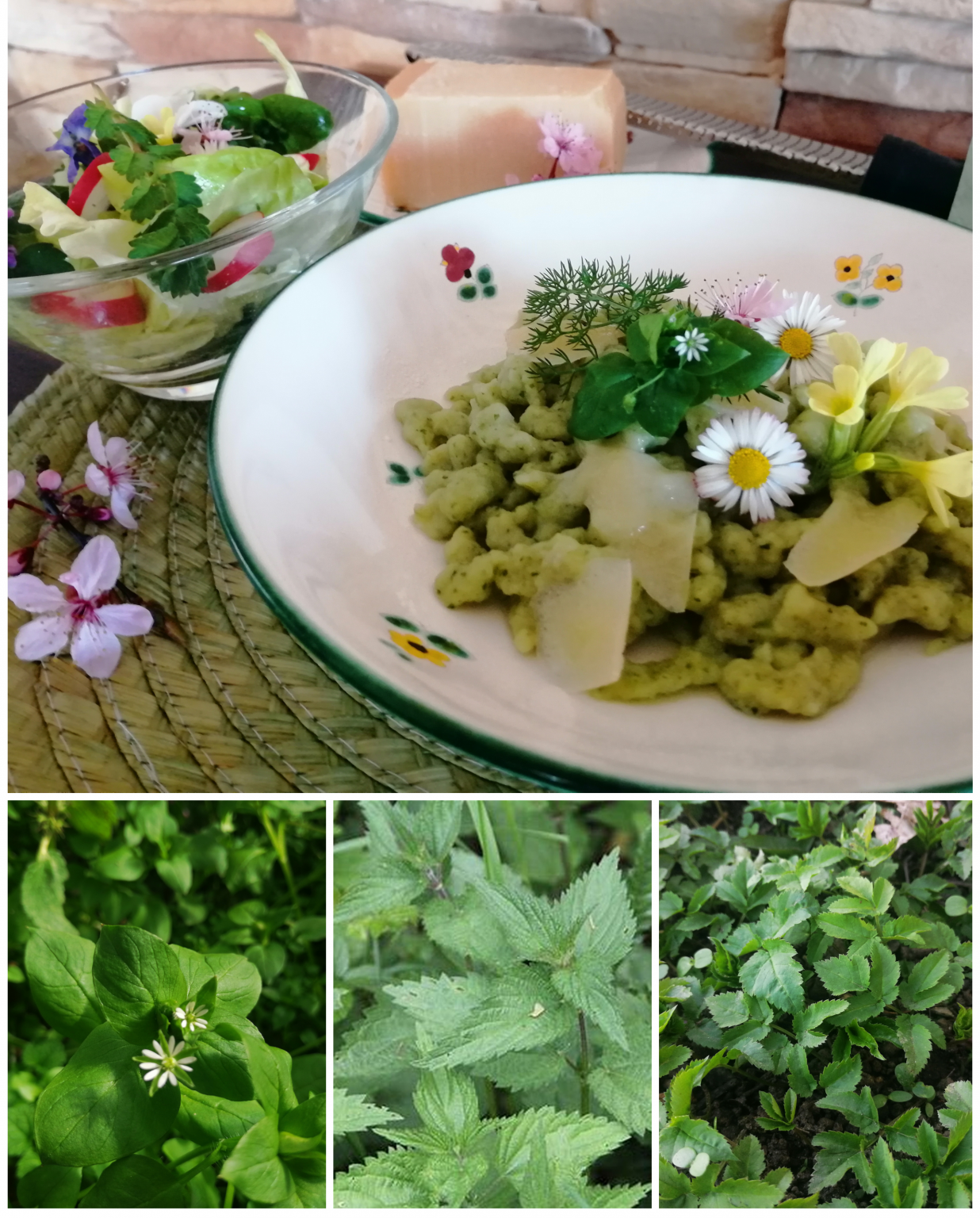 frühling