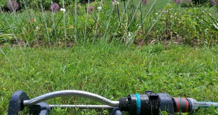 Wasser Marsch, Gartenbewässerung, richtige Bewässerung im Garten, Rasensprenkler, Garten bewässern, effizient und richtig Wässern