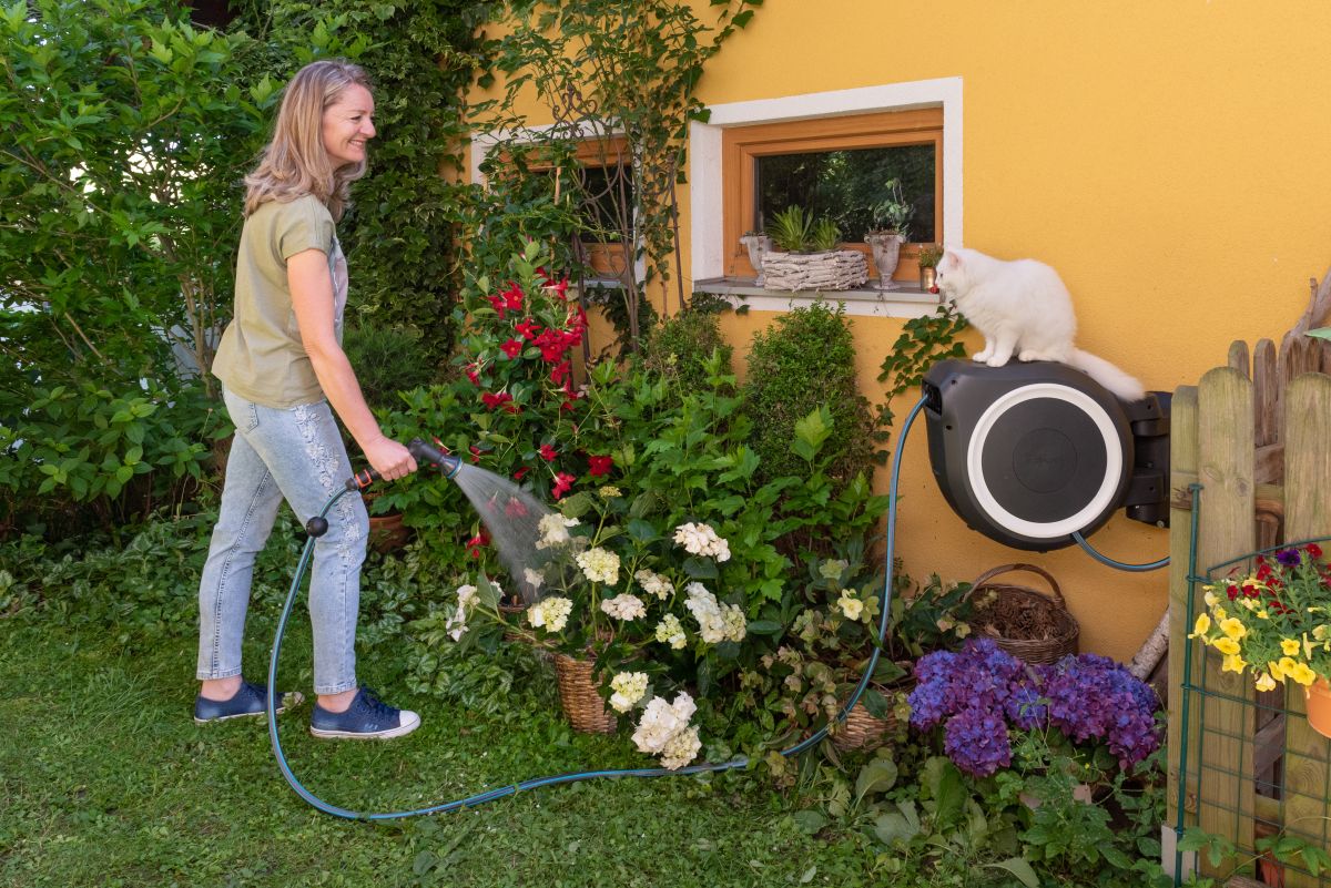 Gartenbewässerung - Gardena Wandbox - Patrizia Haslinger - Die Herzensgärtnerin - Markenbotschafterin Gardena - Hortensien - weiße Katze
