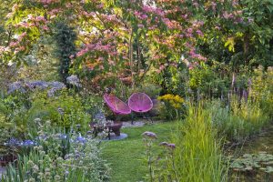 Albizia im Garten Die Herzensgärtnerin - Patrizia Haslinger - Gartenführungen - Schaugarten