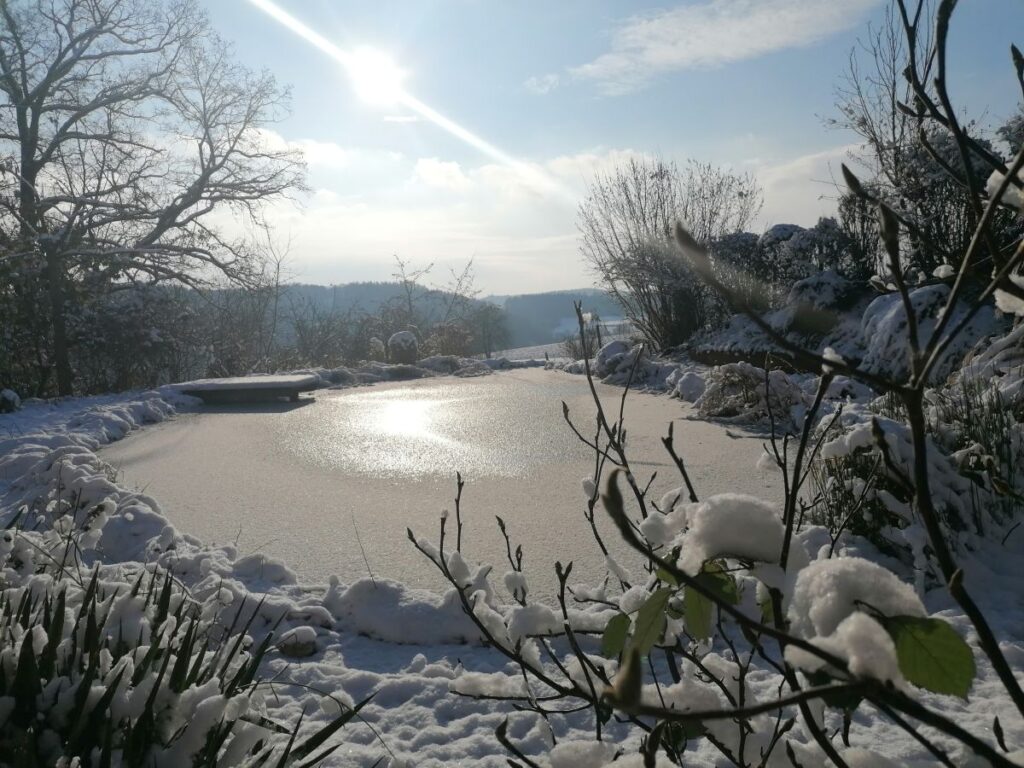 Wintergarten - die Herzensgärtnerin - Patrizia Haslinger Garten mit Schnee - Teichblick verschneit