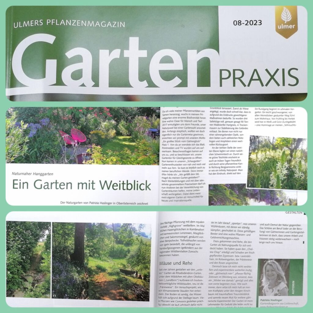 Reportage in Gartenpraxis - Collage - Patrizia Haslinger - Die Herzensgärtnerin - The Heartgardener