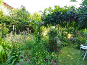 Staudenbeet im Garten von Patrizia Haslinger-Die Herzensgärtnerin-The Heartgardener-Garten in Österreich