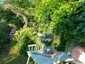 Pergola in der Abendsonne-Garten von Patrizia Haslinger-Die Herzensgärtnerin