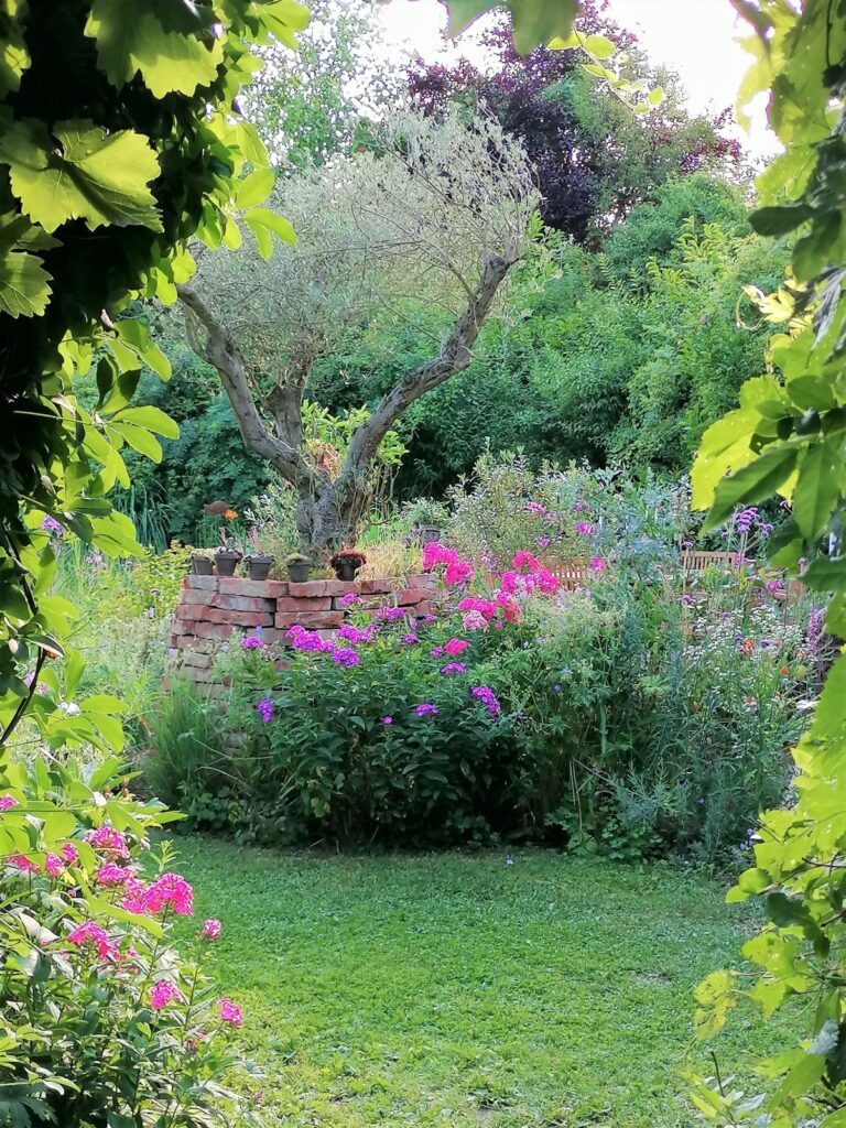 Olivenbaum-Schaugarten Patrizia Haslinger