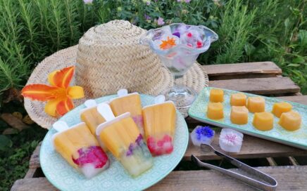 Blüteneiswürfel | Rezept | Eis am Stiel aus dem Garten | Bloggerin Patrizia Haslinger | Die Herzensgärtnerin | DIY | Rezeptideen | Gartenblog