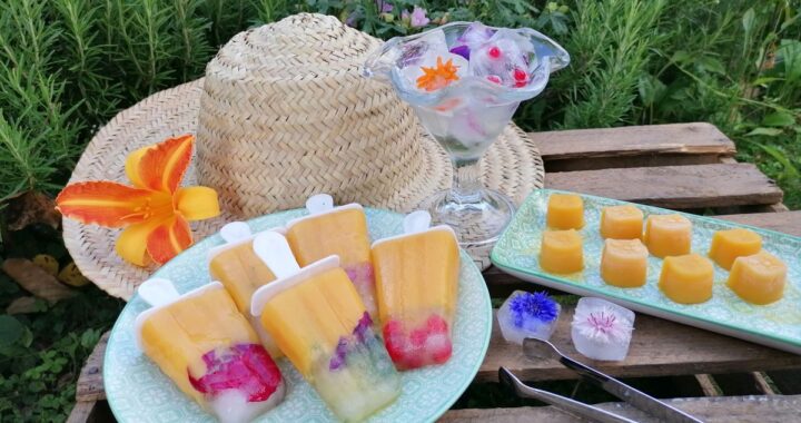 Blüteneiswürfel | Rezept | Eis am Stiel aus dem Garten | Bloggerin Patrizia Haslinger | Die Herzensgärtnerin | DIY | Rezeptideen | Gartenblog