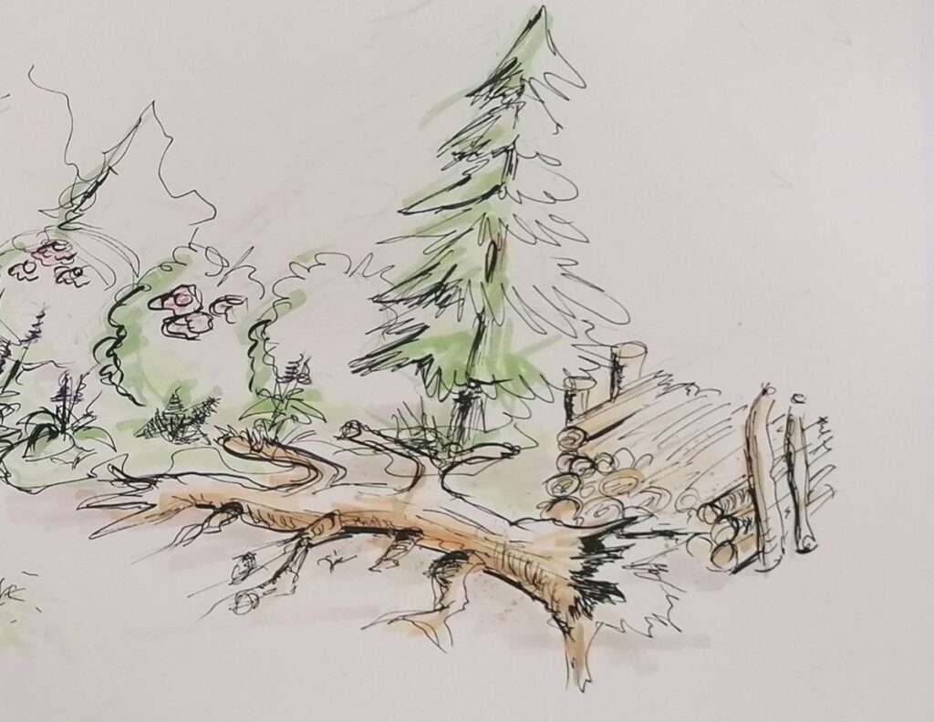 Naturgartengestaltung Skizze Patrizia Haslinger Die Herzensgärtnerin Detail Skizze für Naturgartengestaltung - Die Herzensgärtnerin - Naturgartengestalterin