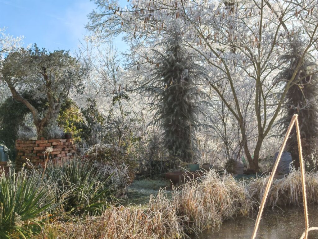 Struktur im winterl.Garten von Patrizia Haslinger (10) Herbstimpression Haslinger