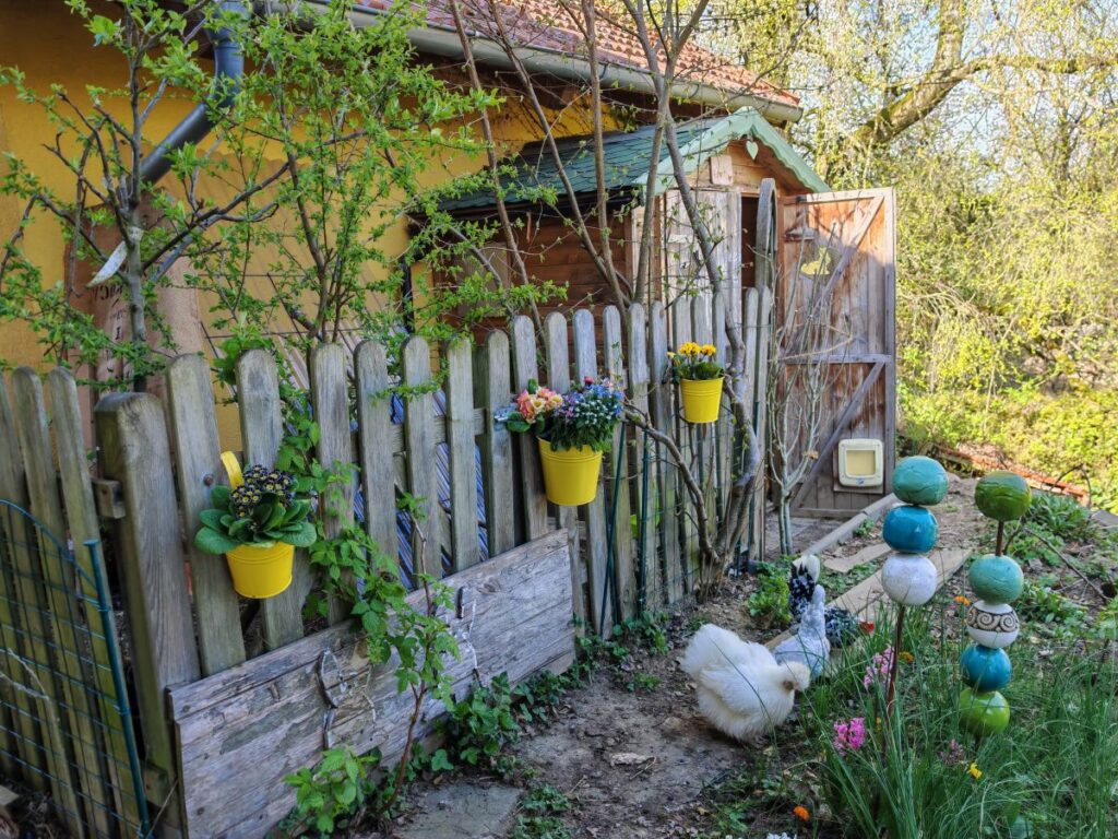 Hühner im eigenen Garten Blog Patrizia Haslinger Hühnerhaltung im eigenen Garten | Blog Patrizia Haslinger | Selbstversorgergarten | Die Herzensgärtnerin | Naturgartengestaltung