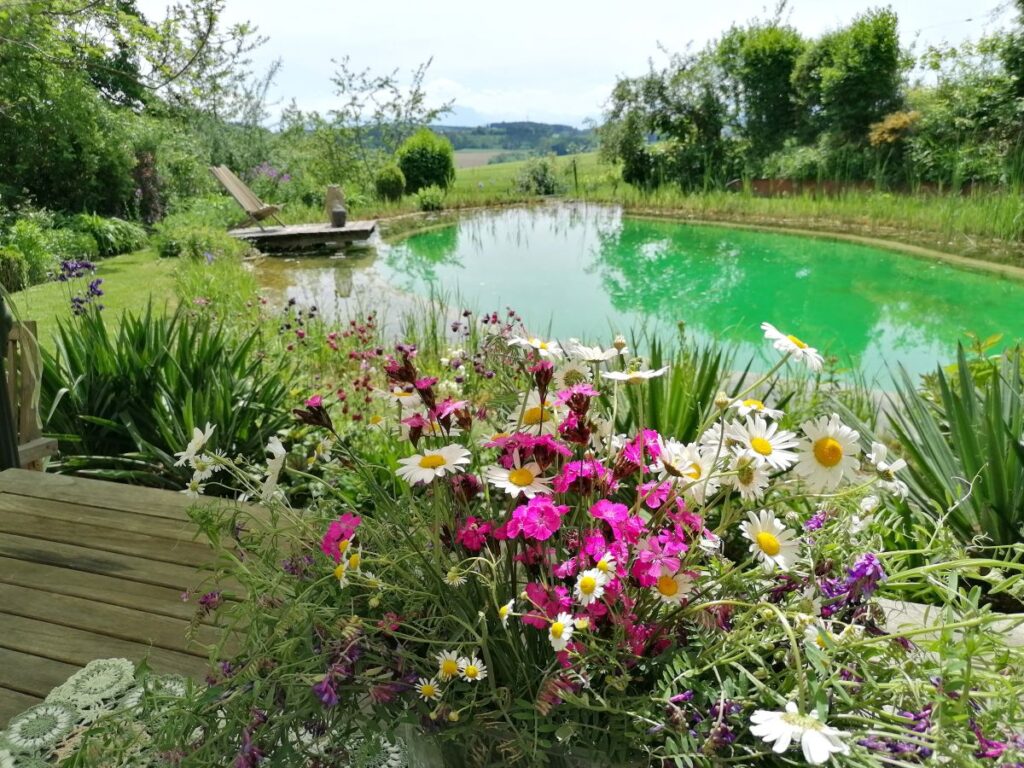 Blumenwiese | Naturblumenstrauß vor Naturteich | No Mow May | Mähfreier Mai | Gartenblog | Blog von Patrizia Haslinger | Die Herzensgärtnerin | Naturgartengestalterin | The Heartgardener | Naturgartengestaltung |