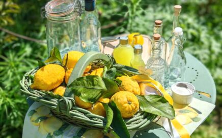 Limoncello selber machen | Rezept für selbstgemachten Limoncello | Zutaten Limoncello | Blog von Patrizia Haslinger | Die Herzensgärtnerin | The Heartgardener | Rezepte aus dem Garten