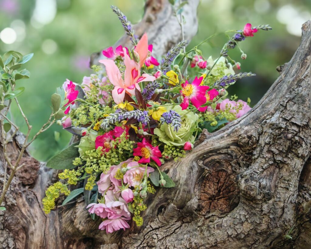 Gartenblumenstrauß auf Olivenbaum - Garten von Patrizia Haslinger . Die Herzensgärtnerin - Naturgartengestalterin - The Heartgardener - Schaugarten - Gartenführungen