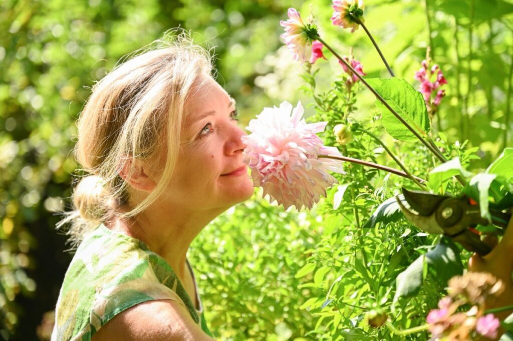 Dahlien | Pflanzenporträt und Pflegetipps | Blog Die Herzensgärtnerin Patrizia Haslinger