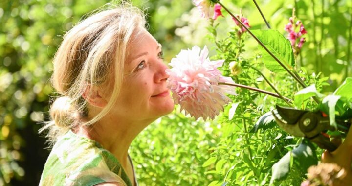 Dahlien | Pflanzenporträt und Pflegetipps | Blog Die Herzensgärtnerin Patrizia Haslinger