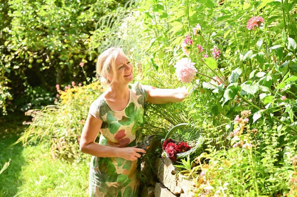 Dahlien | Blog Die Herzensgärtnerin | Pflegetipps | Pflanztipps | Deko mit Dahlien | Gartenblumenstrauß | Schnittblumengarten | Cuttinggarden | Naturgartengestalterin Patrizia Haslinger | The Heartgardener | Pflanzenportät Dahlie | Georgien