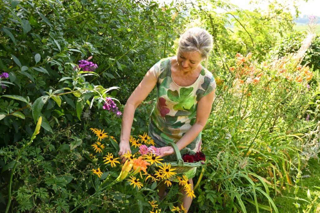 Dahlien | Blog Die Herzensgärtnerin | Pflegetipps | Pflanztipps | Deko mit Dahlien | Gartenblumenstrauß | Schnittblumengarten | Cuttinggarden | Naturgartengestalterin Patrizia Haslinger | The Heartgardener | Pflanzenportät Dahlie | Georgien
