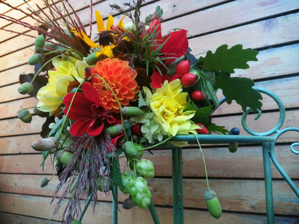 Dahlien | Blog Die Herzensgärtnerin | Pflegetipps | Pflanztipps | Deko mit Dahlien | Gartenblumenstrauß | Schnittblumengarten | Cuttinggarden | Naturgartengestalterin Patrizia Haslinger | The Heartgardener | Pflanzenportät Dahlie | Georgien