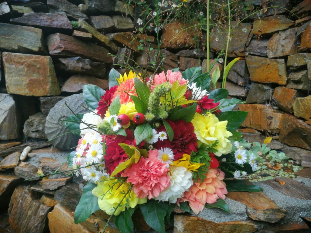 Dahlien | Blog Die Herzensgärtnerin | Pflegetipps | Pflanztipps | Deko mit Dahlien | Gartenblumenstrauß | Schnittblumengarten | Cuttinggarden | Naturgartengestalterin Patrizia Haslinger | The Heartgardener | Pflanzenportät Dahlie | Georgien