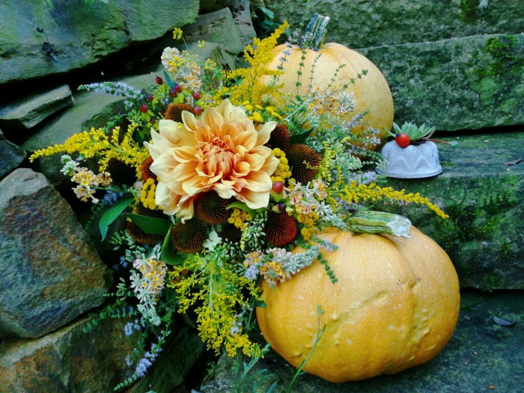 Dahlien | Blog Die Herzensgärtnerin | Pflegetipps | Pflanztipps | Deko mit Dahlien | Gartenblumenstrauß | Schnittblumengarten | Cuttinggarden | Naturgartengestalterin Patrizia Haslinger | The Heartgardener | Pflanzenportät Dahlie | Georgien