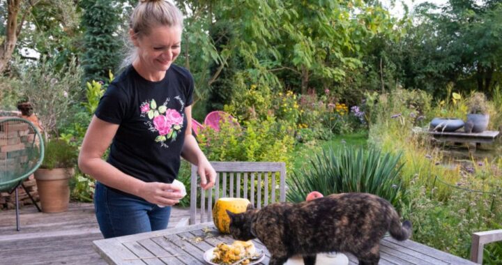 Einfaches Design für Kürbis schnitzen | Halloween Kürbis Deko mit LED lichtern | kreative pumpkin carving ideas für draußen | DIY Kürbis Dekoration Anleitung — Schritt für Schritt | DIY Kürbis Dekoration basteln | Kürbis Dekoideen | Kürbis beleuchtet | Die Herzensgärtnerin