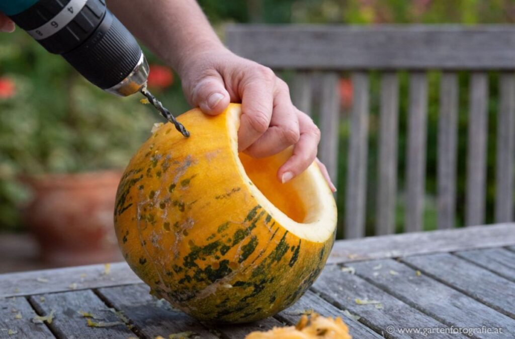 Kürbisdeko Schritt für Schritt Anleitung Blog von Patrizia Haslinger Die Herzensgärtnerin