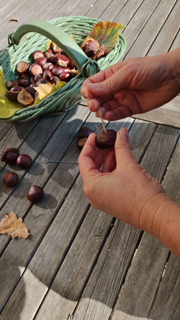 Bemalte Kastanien als lustige Igelkinder – Bastelidee für den Herbst