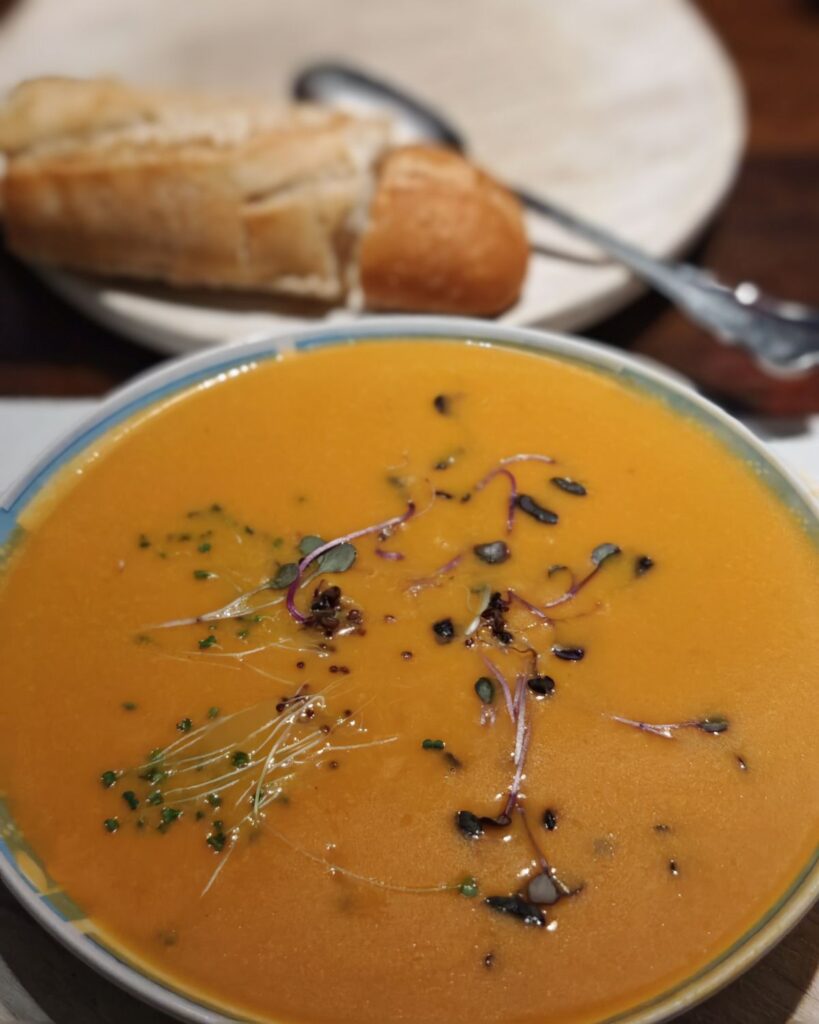 Blog Keimsprossen, Microgreens & Avocado – Vitamine von der Fensterbank Die Herzensgärtnerin (1)