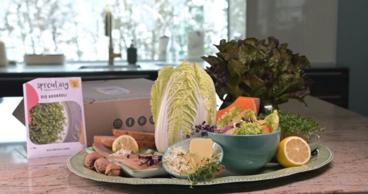 Blog Keimsprossen, Microgreens & Avocado – Vitamine von der Fensterbank Die Herzensgärtnerin