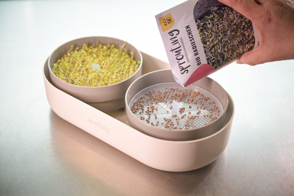 Blog Keimsprossen, Microgreens und Avocados Vitamine von der Fensterbank Die Herzensgärtnerin Fotocredit Markus Wenz (4)