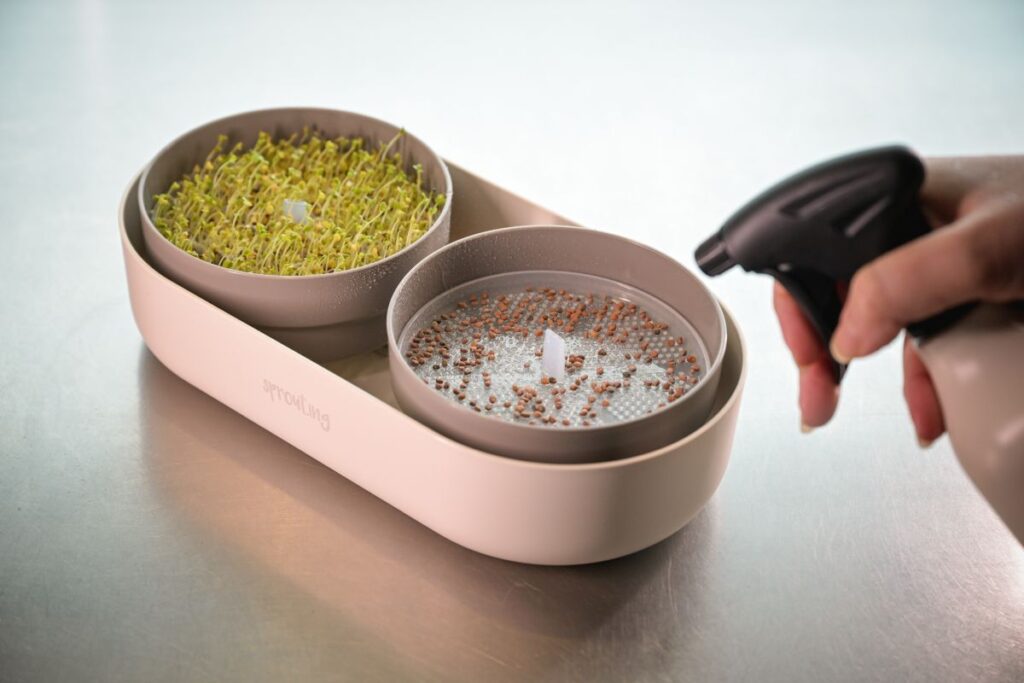 Blog Keimsprossen, Microgreens und Avocados Vitamine von der Fensterbank Die Herzensgärtnerin Fotocredit Markus Wenz (6)