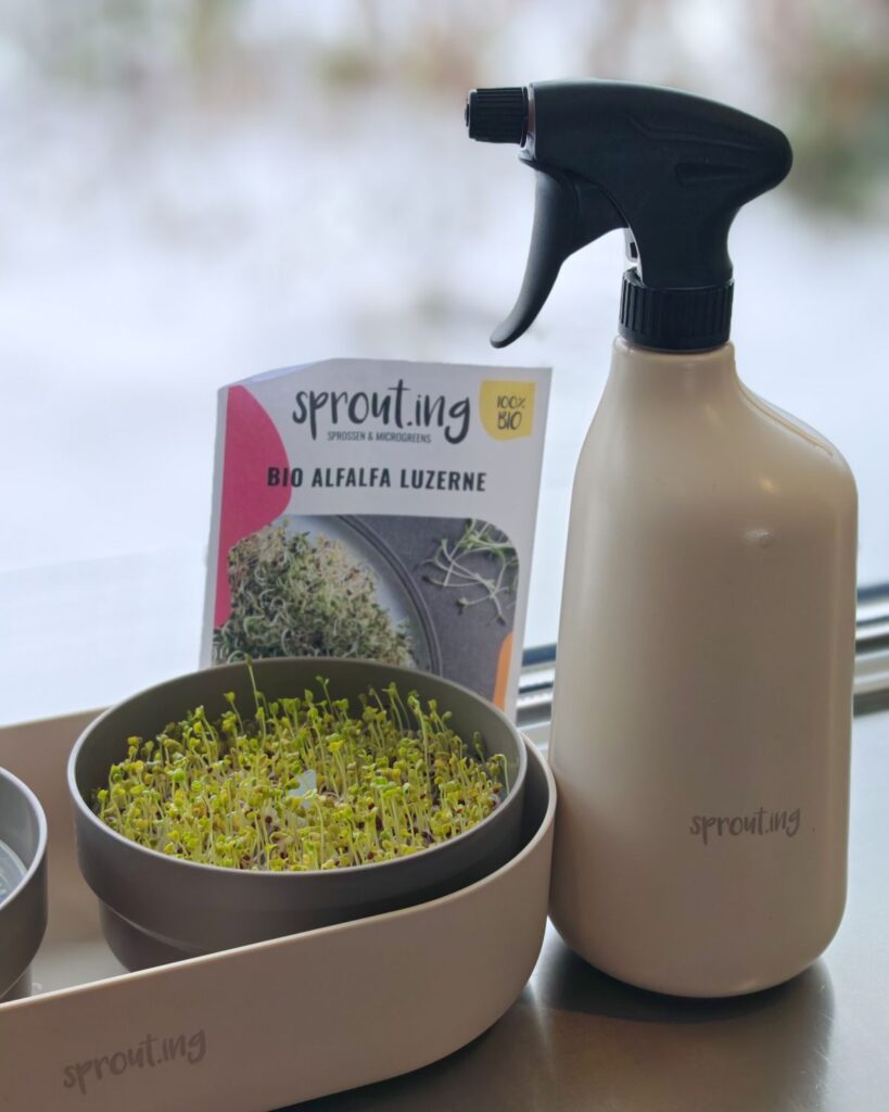 Herzenswerbung für Sprouting Anzuchtset von Samen Maier