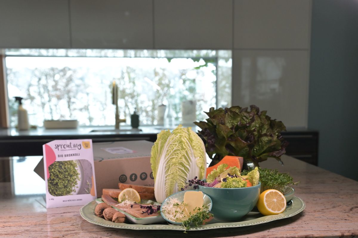 Keimsprossen, Microgreens & Avocado – Vitamine von der Fensterbank Die Herzensgärtnerin