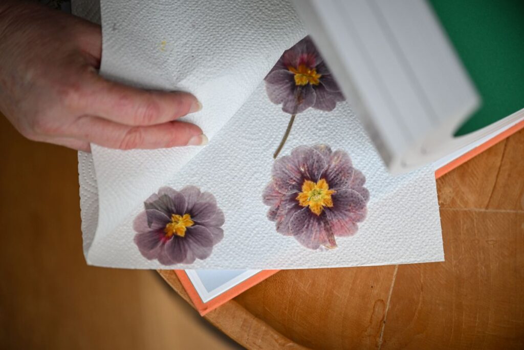 Herbstimpressionen Haslinger