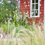 Die Herzensgärtnerin Gärten des Jahres 2026 (2)