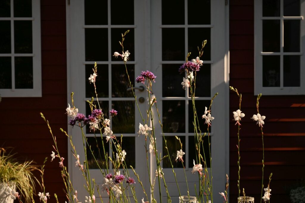 Farbkomposition im Garten