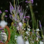 Staudenbeet lila weiß