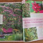 Mein schöner Garten Fotos vom Schaugarten Die Herzensgärtnerin zur Albiziablüte(3)
