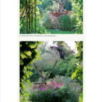 Ausschnitt aus Online Ausgabe GÄRTEN 3 26 Rubrik Nachgefragt Patrizia Haslinger Expertise zu Mediterraner Garten Naturgartengestaltung