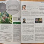 patrizia-haslinger-coautorin-naturgartengestalterin-fachmagazin-mediterrane-Gärten